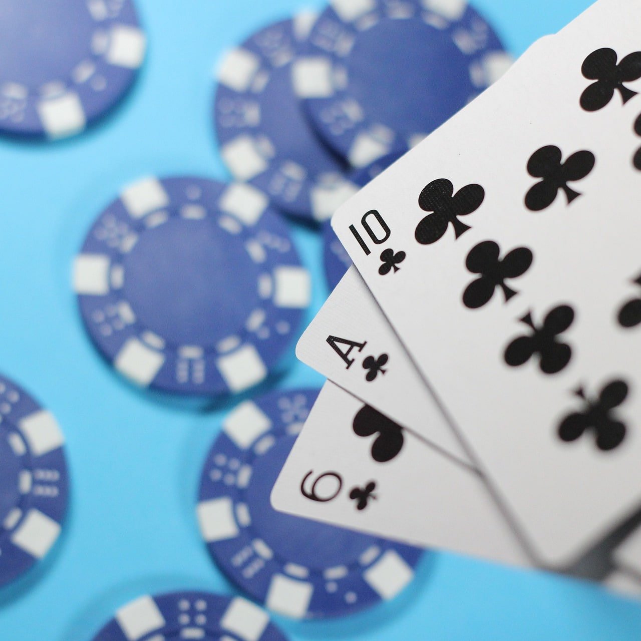susi togel featured game showcase
